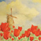 Windmill and tulips, oil on canvas painting, 24 x 30 in
