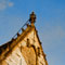 haarlem church photograph